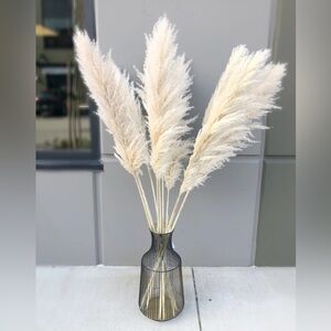 Pampas Grass